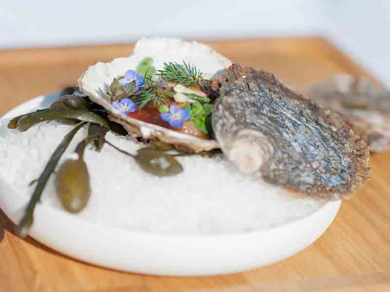 Platte Auster (Zeeuwse Platte), eingelegter Spinat, Tosa-Essig-Gelee und Wildkräuter