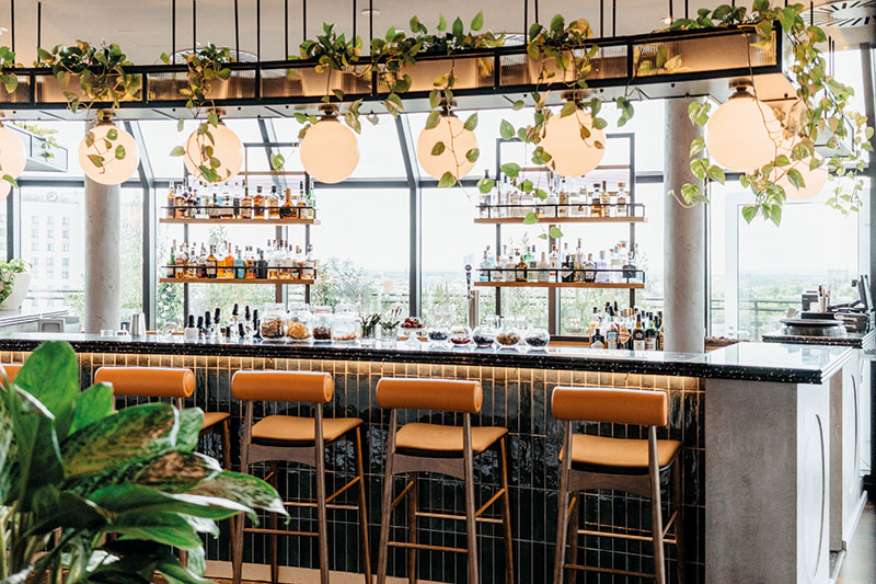 Bar Botanic Rooftop-Bar